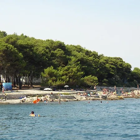 Srecko